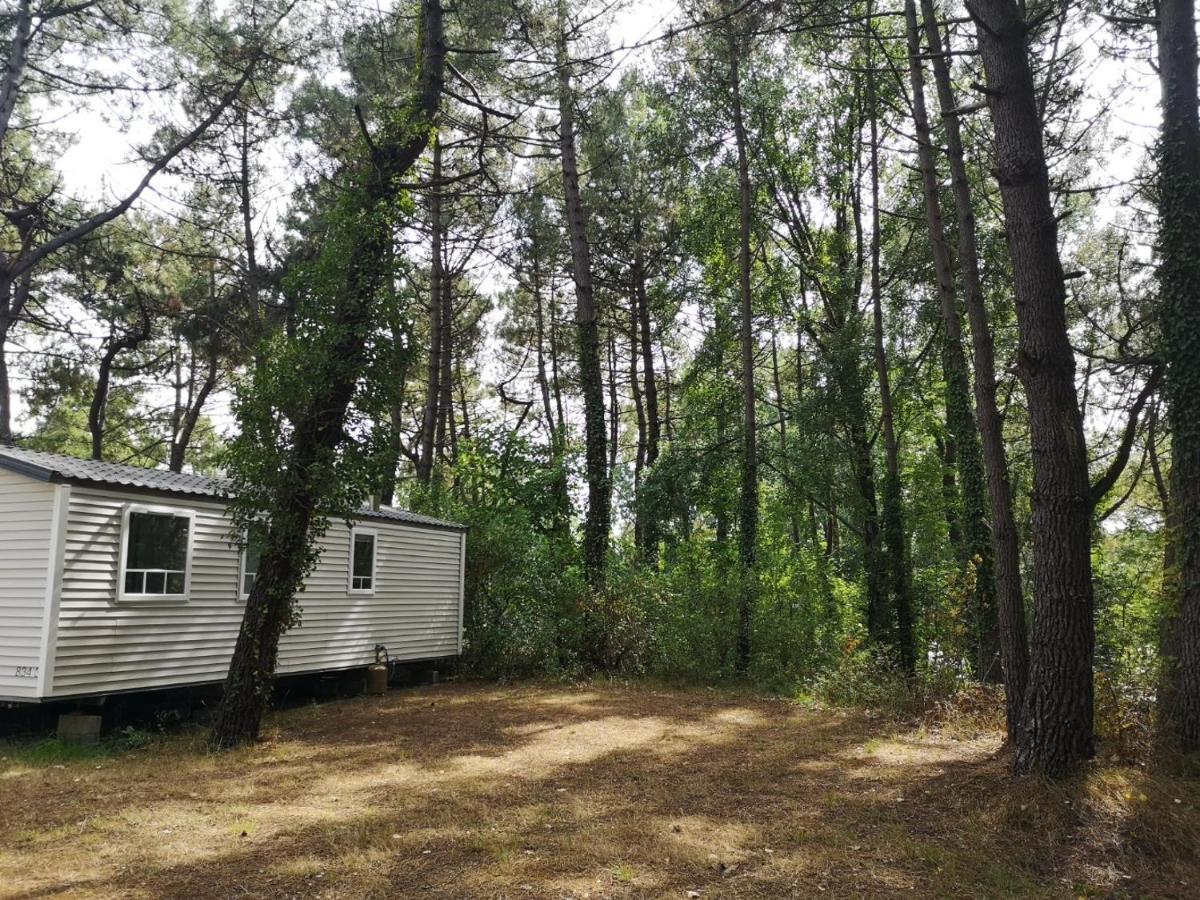 Le Ilo - Camping La Dune Blanche Камие Екстериор снимка